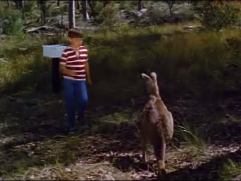 Skippy (Subtitulado Español) S01 E01 (1968)