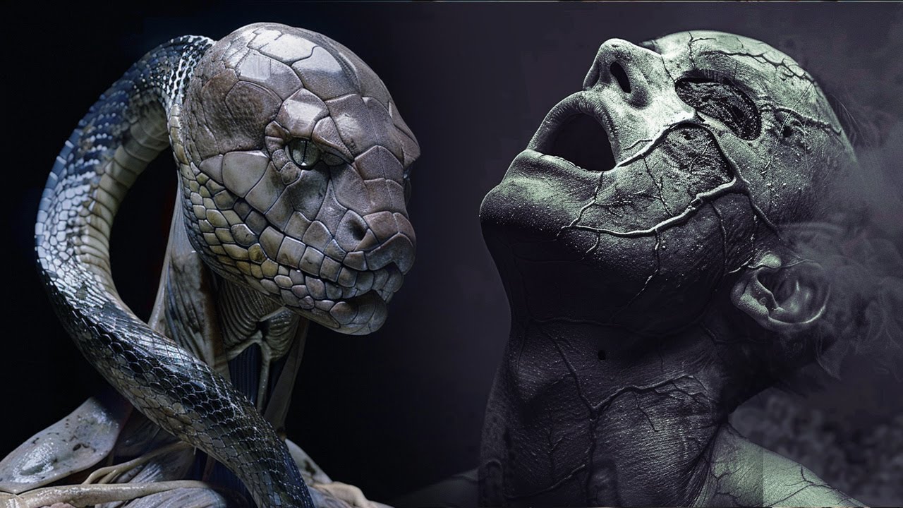 The Book Of Job (THE MOVIE)