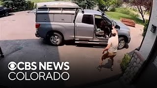 美國男子打開車門 驚見野熊坐在副駕座位上