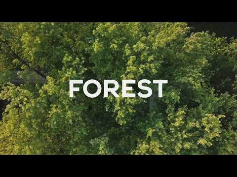 FOREST - office campus