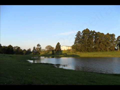 Saudade De Lagoa video