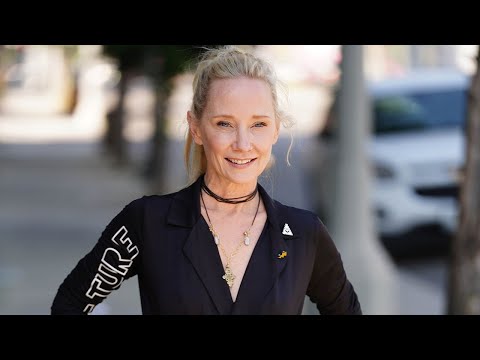 Why Harrison Ford Is One Of Anne Heche's 'Heroes'