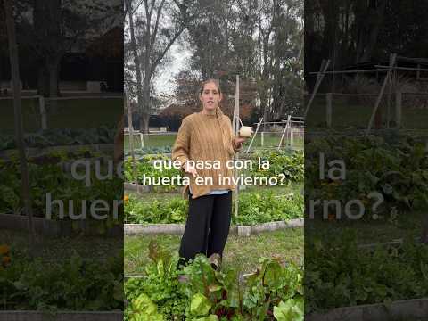 La huerta en otoño invierno es productiva y su cuidado es fácil, siempre que cultives de estación