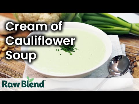 download lagu mp3 mp4 Vitamix Cauliflower Soup, download lagu Vitamix Cauliflower Soup gratis, unduh video klip Vitamix Cauliflower Soup