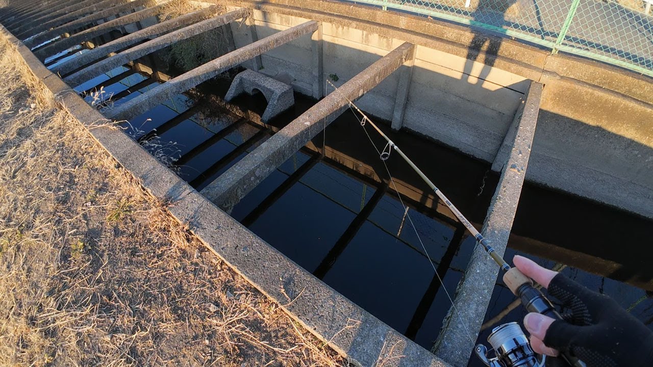 埼玉の冬でも釣れる水路に挑む！