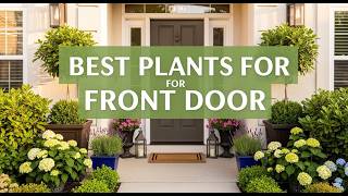 TOP 5 Best Plants For Front Door 2026 | Plants For Front Door That Make Your Home Look Beautiful