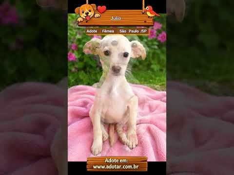 Vídeo de Julia
