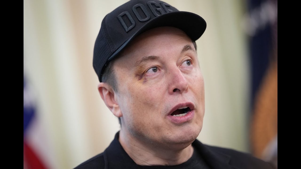 Elon Musk FREAKS OUT in UNEXPECTED Oval Office meltdown