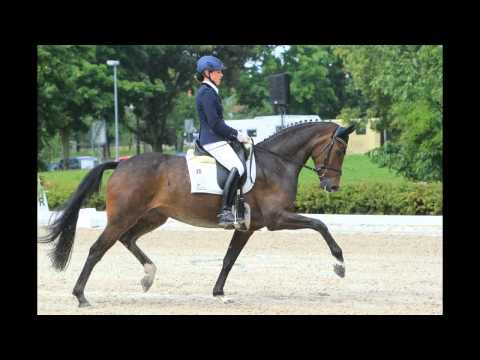 www.reitschule-sandbrink.de  Merry Christmas - Our Horses 2012 Dressage