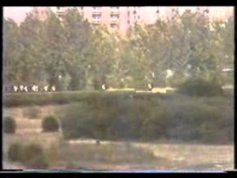 66. Magyar Derby - Jagelló (Bodnár L.) - Karaszek Sándor - Kincsem Park 1988.