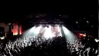 Ludo Live in NYC - Whipped Cream / Dance-Along with the Audience (Watch in HD!)