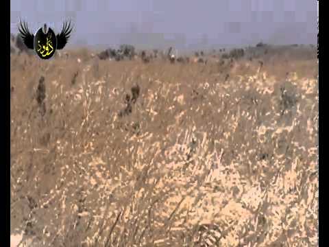 استهداف  قوات النظام من قبل لواء داوود في مدينة حلب في محافظة حلب