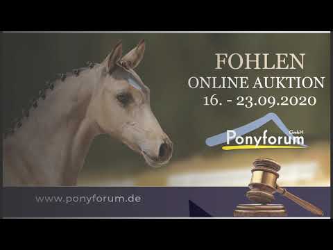 RICKYS RED PLEASURE KB SF v Oosteinds Ricky - For Keeps