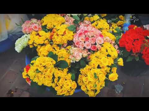 Flowers are your happiness 🌹//তোর্ষা🍂//@TorshaBiswas24