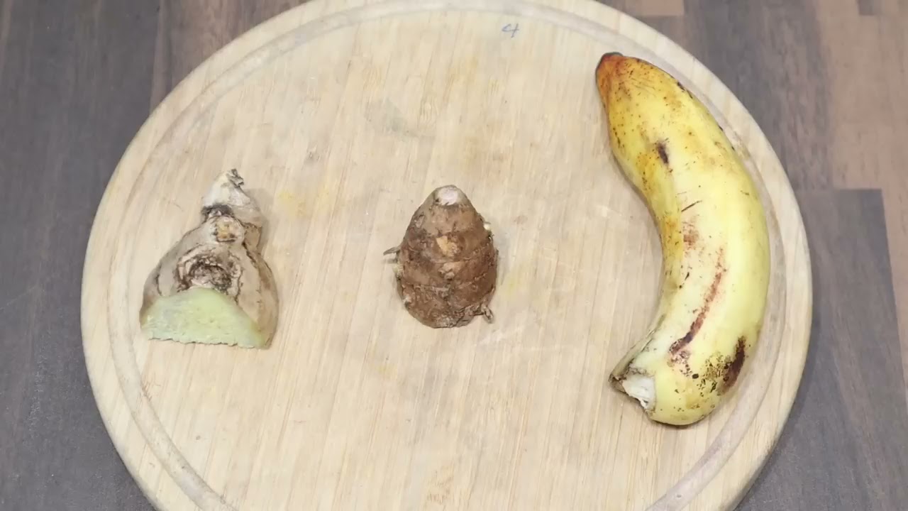 Zitronen Ingwer Sirup super bei Halsweh - Einfache Rezepte