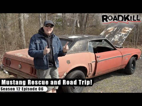 Thumbnail for Mustang Rescue and Road Trip! - Roadkill S12E06 - Reality Car TV Show by Ford Ranchero, Car, Vehicle