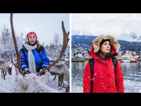 DIFERENCIAS DEL POLO NORTE Y POLO SUR