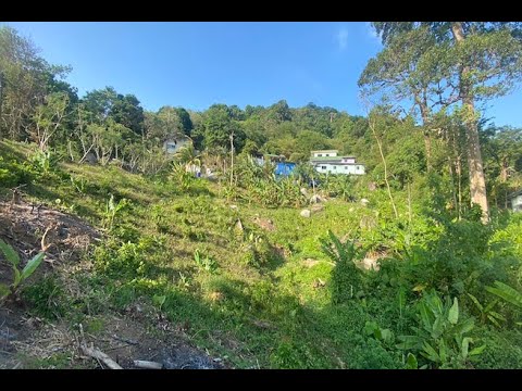 Over 7 Rai of Sloping Hillside Land for Sale in Patong
