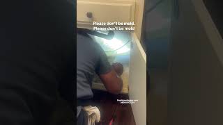 It Was In Fact Mold #larealtor