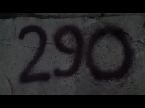 290 168 - Genen batsaan