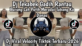 Download lagu DJ BURUNG LAH PUTIH MARADAI MINANG || DJ TAKABEK GADIH RANTAU SOUND VIRAL FYP TIKTOK TERBARU 2026 mp3