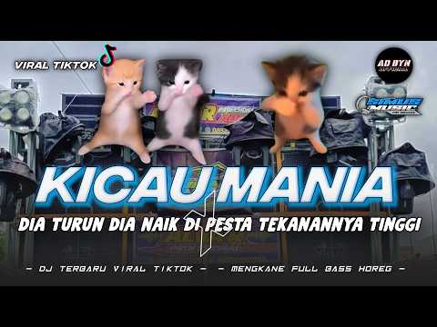 DJ KICAU MANIA x DIA TURUN DIA NAIK DI PESTA TEKANANNYA TINGGI TERBARU || FYP TIKTOK BASS HOREG