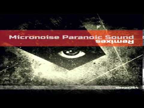 Michael Burkat - Room 29 (Micronoise Paranoic Sound Remix)