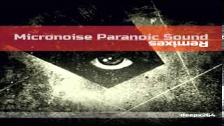 Michael Burkat - Room 29 (Micronoise Paranoic Sound Remix)