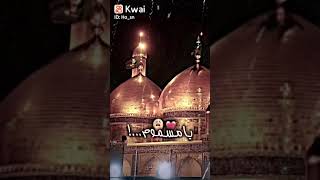 ابو طلبه يسمونك حالات واتس اب