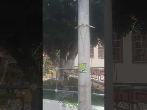 Municipio de Las Vueltas . Chalatenango.