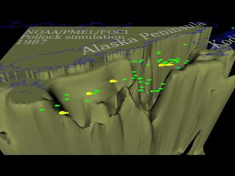 Individual-Based Model of young walleye pollock (Theragra Chalcogramma) in Shelikof Strait, Alaska