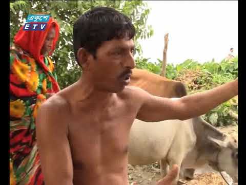 দুপুর ০২টার সংবাদ || ২৩ জুলাই ২০১৯