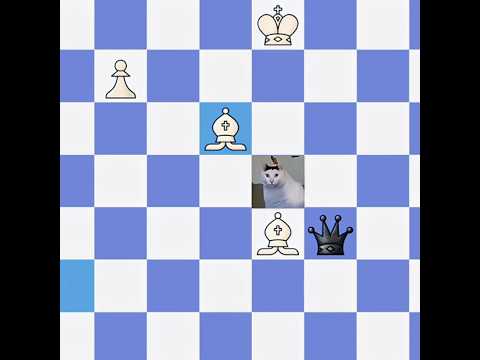 Mein Kumpel dachte, er hätte gewonnen 🤣 | chessbloop #84