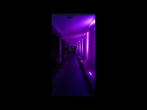 [FREE] Pashanim x DnB Type Beat - BERLIN  (prod.michii)