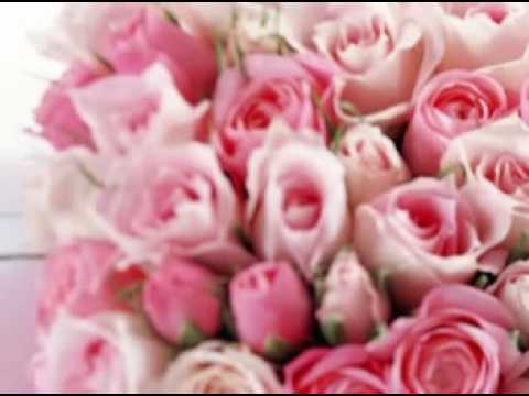 Serginy & Anex-Frumusetea femenina.mpg