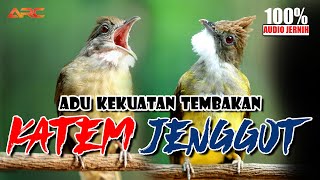 Download lagu MASTERAN KAPAS TEMBAK VS CUCAK JENGGOT mp3 Download lagu MASTERAN KAPAS TEMBAK VS CUCAK JENGGOT mp3