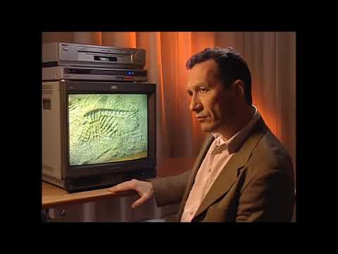 Medical Detectives Tod am Strassenrand