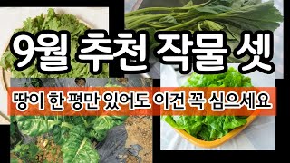 9월 추천 작물 셋 - 땅이 한 평만 있어도 이건 꼭 심으세요