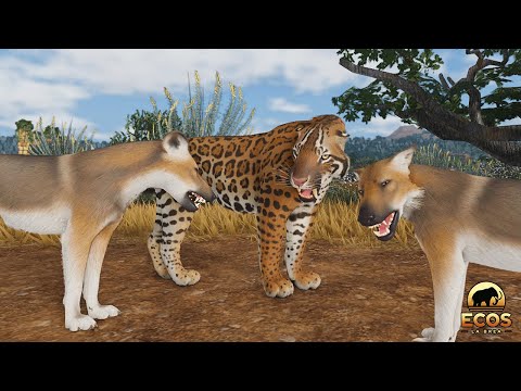 Dire Wolf Pack UNEXPECTED Turn! | Ecos: La Brea