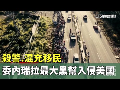 殺警.混充移民　委內瑞拉最大黑幫入侵美國