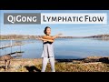 QIGONG FOR LYMPHATIC FLOW SWING ARM QIGONG