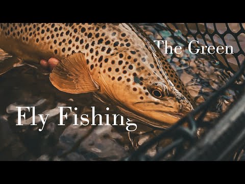 Two Days Fly fishing the Green River | Full Film