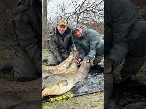 Sportex Catfire CS-2 Boje 2.70m 250-500g