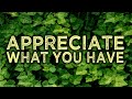 APPRECIATE WHAT YOU HAVE