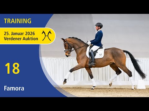18 Famora by Fürst Belissaro | Verden Auction Online - Sporthorses & Youngster - Jan., 25