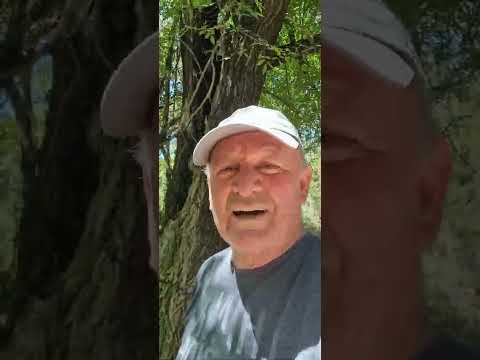 UNA CANTERA DE GRANITO EN LA FALDA  (Pvcia. de Cordoba)