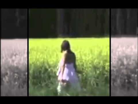 MNGLxMPLR - Mängelexemplar - Blume ab