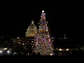Alaska S Spruce Wayne Lights Up U S Capitol For Christmas