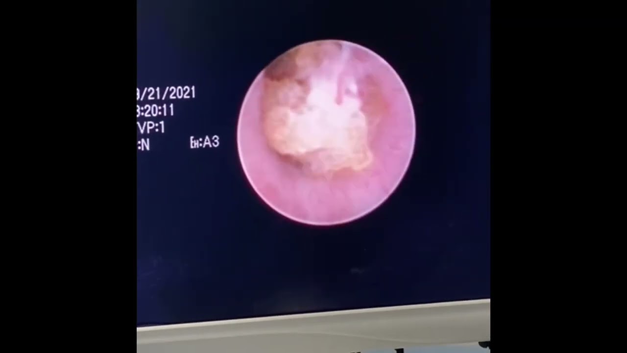 Alejandro Soto Palomares-6