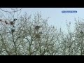 GLD Nieuws 23 maart 2012 - Nieuws